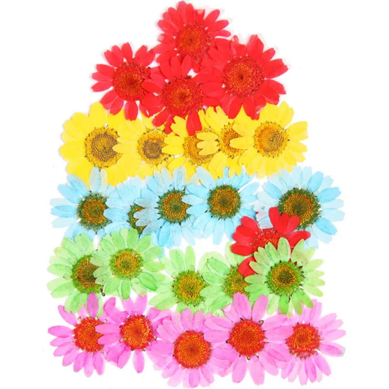 Высокое качество Популярные Лидер продаж мини Bloemen засушенные цветы небольшой "сделай сам" сохранить букет 25 шт./пакет прессованные цветы украшения дома