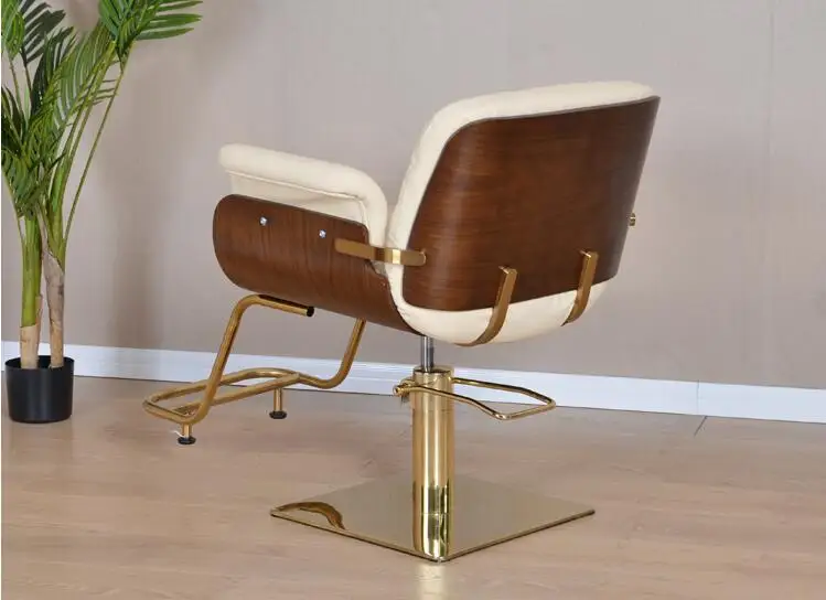 Hairdresser's chair, hair salon's special haircut chair