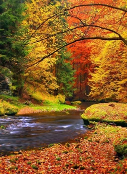 

14/16/18/27/28 Top Quality Beautiful Counted Cross Stitch Kit Abstraction A8401 forest landscape