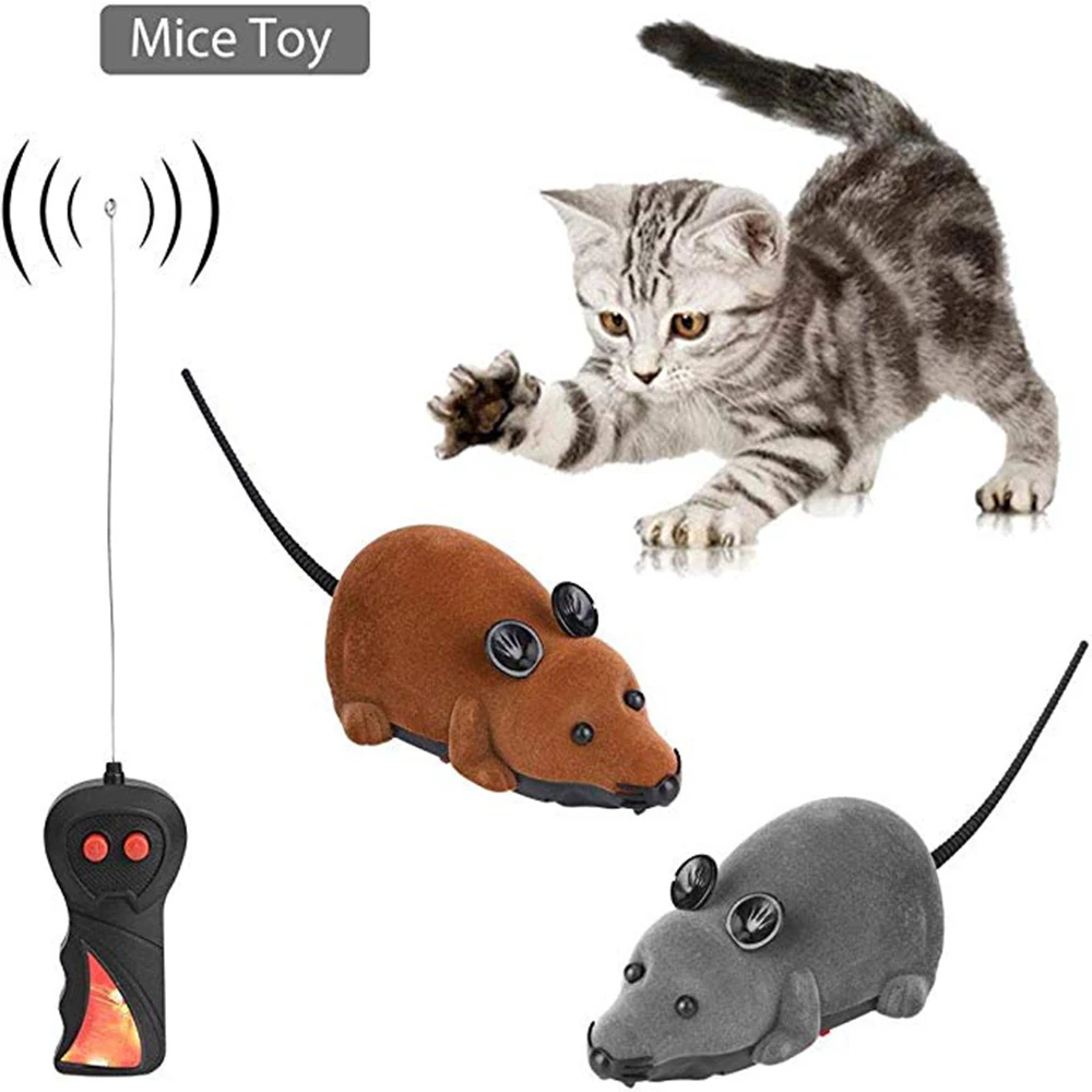 remote controlled mouse