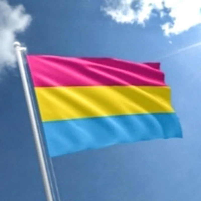 Лесбийский флаг большой гордости Радужный долговечный пансексуальный