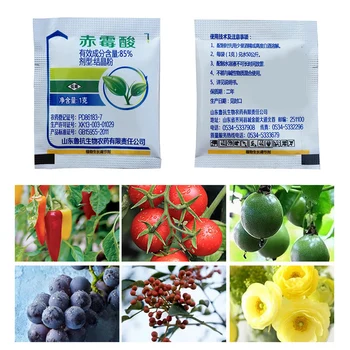 

Concentrate Gibberellic Acid Plant Growth Regulator For Home Garden Bonsai Break Sleep Fertilizer Increase Production 1g/pack