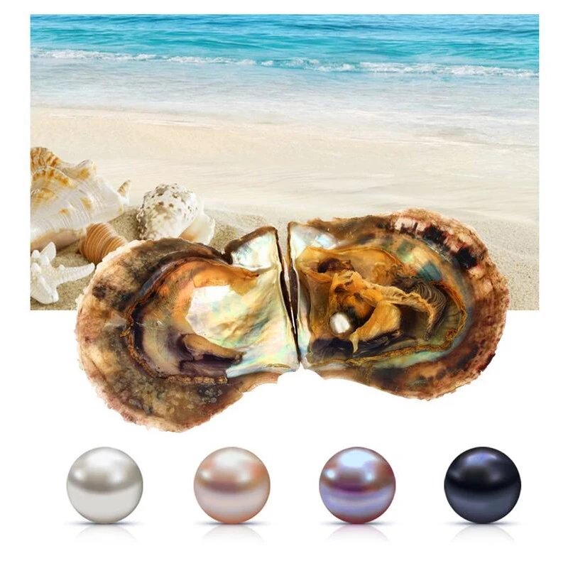 

DAIMI 6-7/7-8mm Round Pearls Vacuum-Packed Akoya Oyster Saltwater Pearl Mussel Surprise Gift