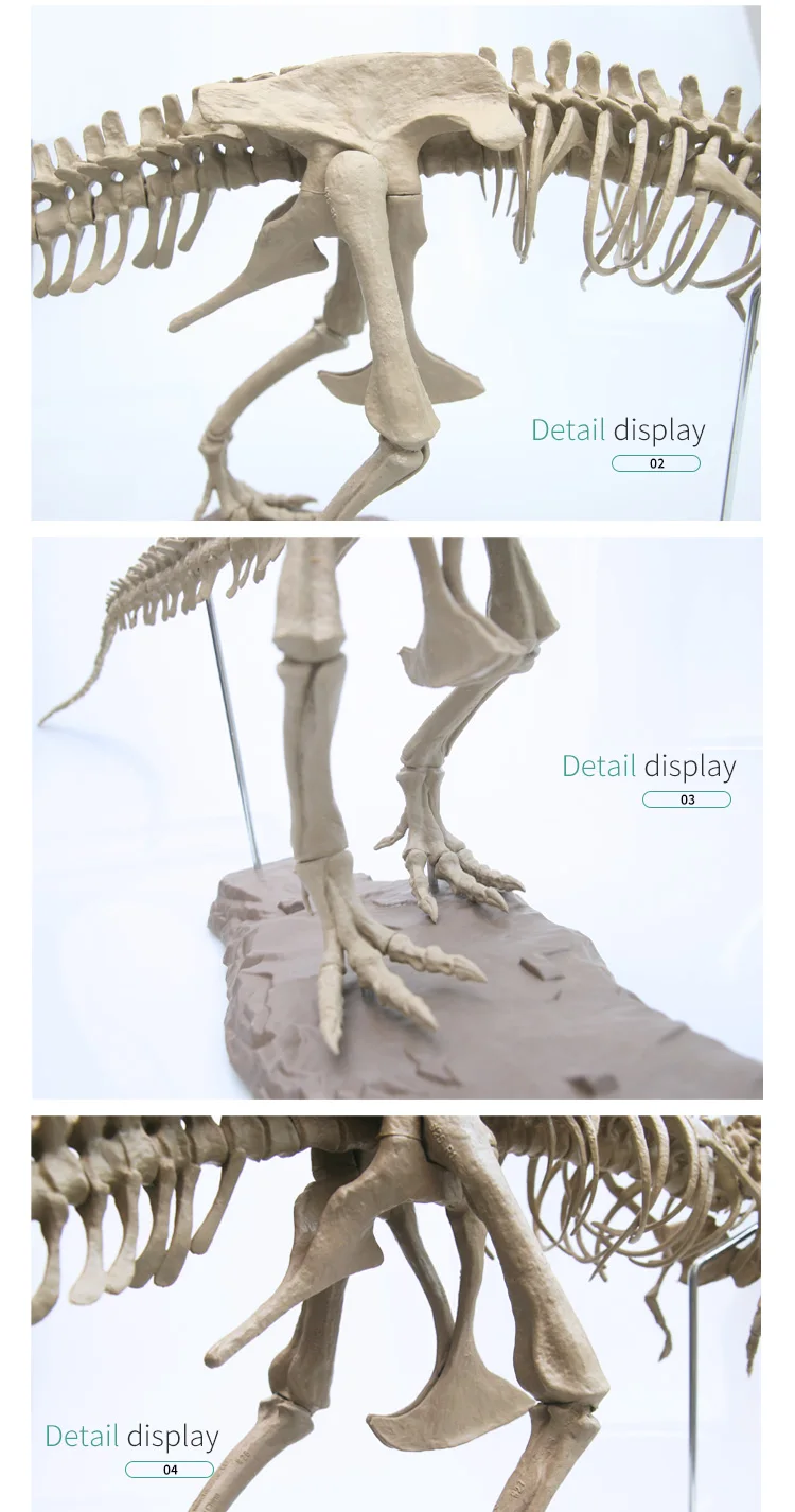 Большой динозавр Fossil Skull модель животного игрушки тираннозавр рекс собрать скелет модель предметы интерьера украшения