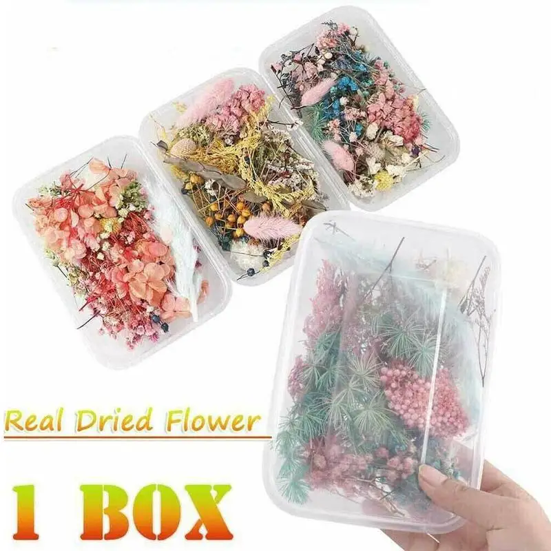 

Random 1 Box More Than 8 Style Mix Flower Pressed Dried Dry Leaves Plants For Nail Art Decors Jewelry Making DIY Accessories