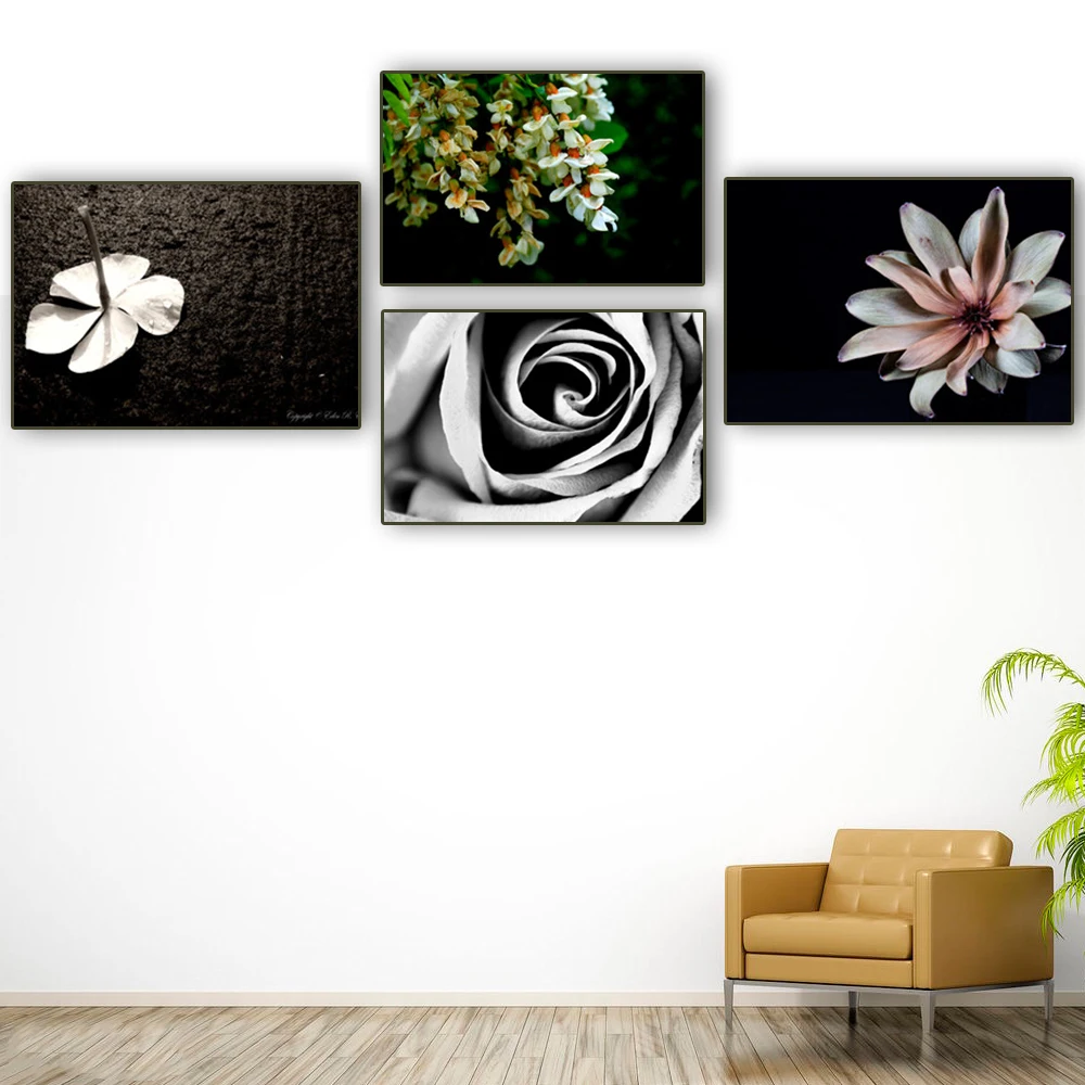 cactus-flower (2)