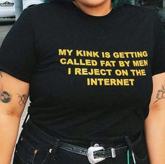 My Kink Is Getting Called Fat By Men I Reject On The Internet Funny Quotes T Shirt Women Tumblr Fashion Hipsters T Shirts Aliexpress aliexpress
