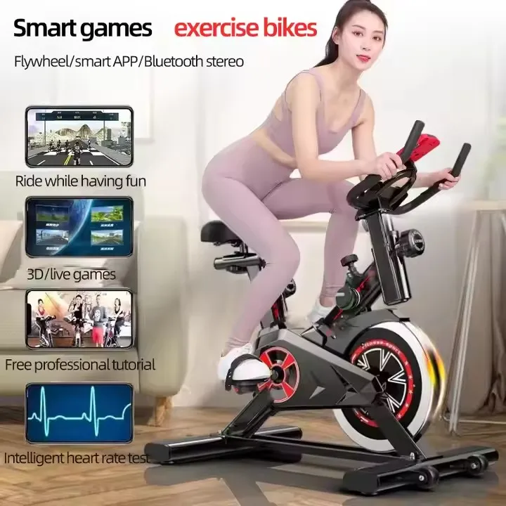 Ultra-Silent Indoor Fitness Bike For Weight Loss Home Use Steel Metal Gym Magnetic Brake System Spinning Bike