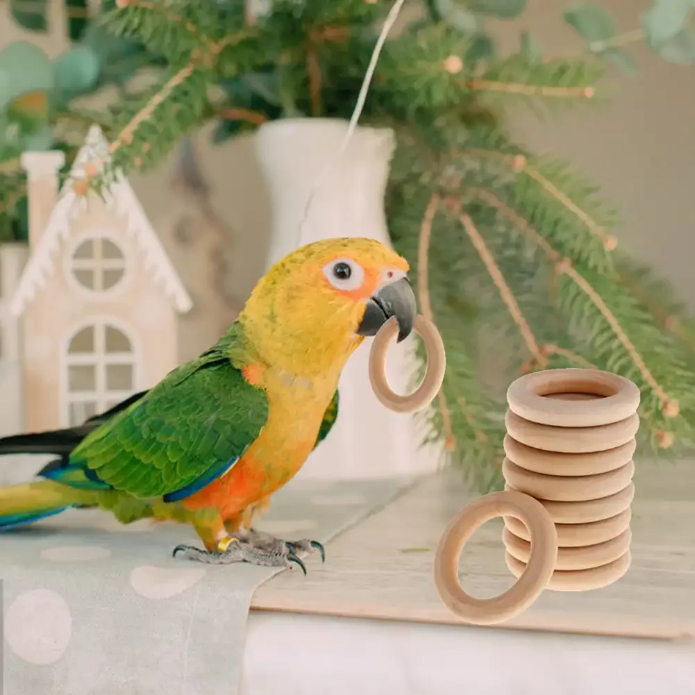 Pet Bird Parrot Intelligence Toys Natural Wooden Ring Parrot Training Toy Chew Bite Toys for Budgies Parakeet Bird Supplies 6
