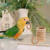 Pet Bird Parrot Intelligence Toys Natural Wooden Ring Parrot Training Toy Chew Bite Toys for Budgies Parakeet Bird Supplies 6