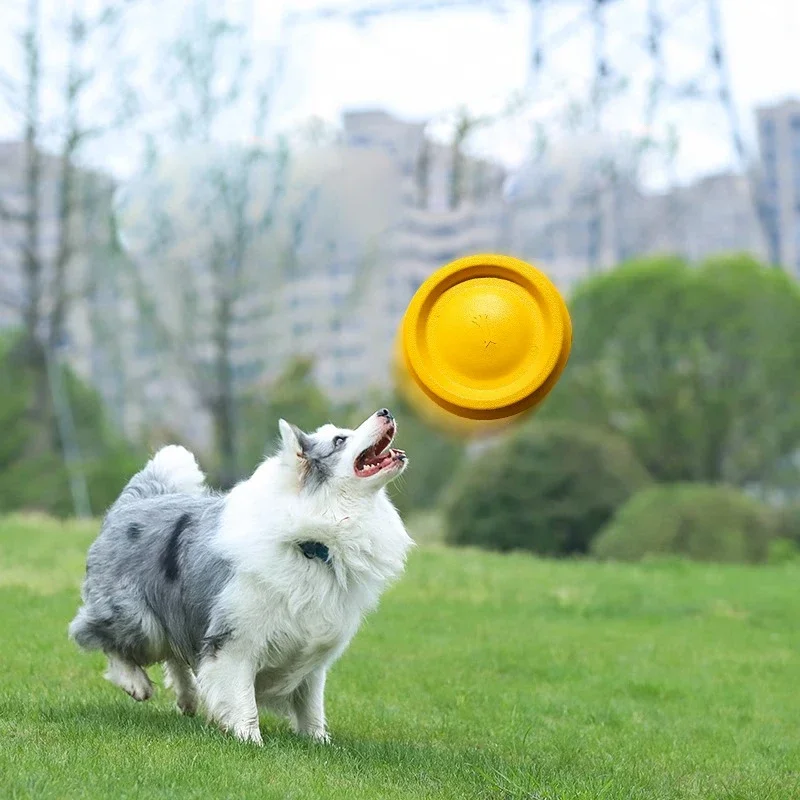 Juguetes interactivos para perros, discos voladores para mascotas, juguete de entrenamiento para cachorros, resistente a las mordeduras, juego flotante para Frisbeed