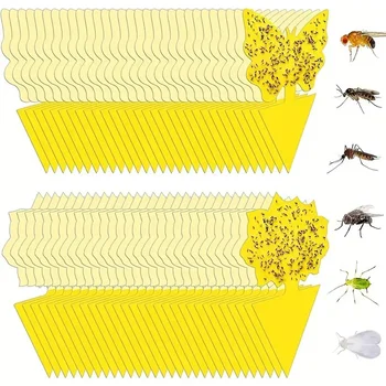 20Pcs Insect Traps Protect The Plant Double Sided Gnat Traps Non-Toxic and Odorless Sticky Board Traps for Garden Plants Kitchen 1