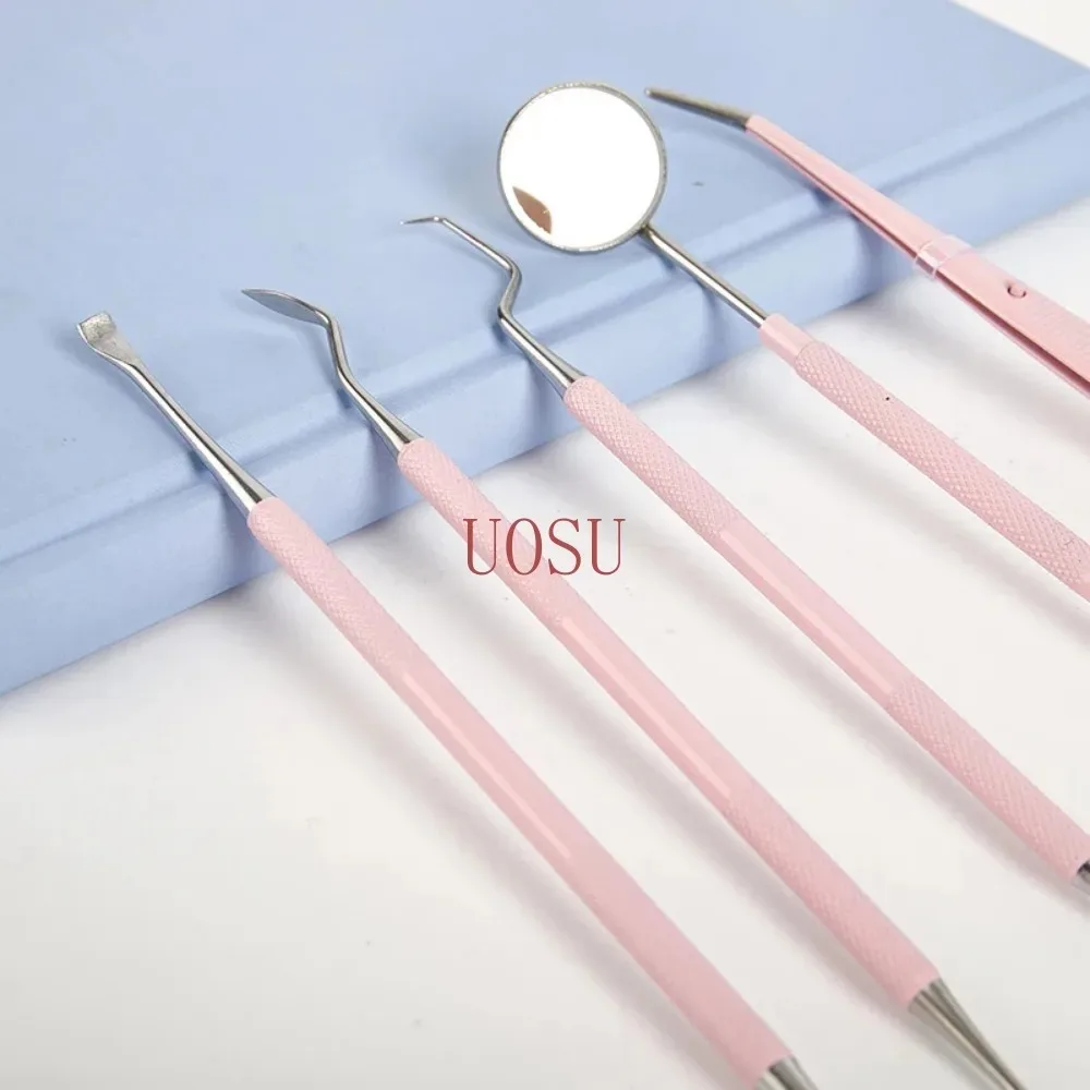 Pink Stainless Steel Dental Care Kit