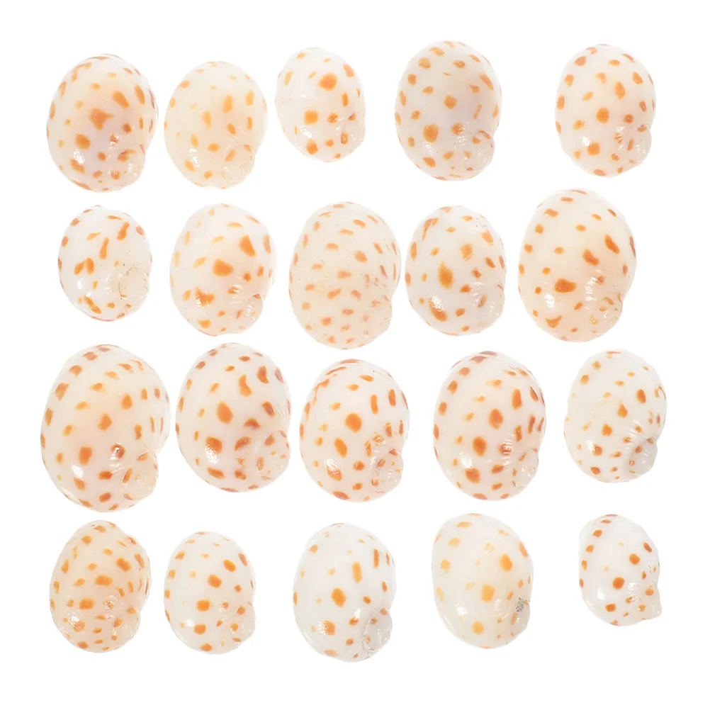 

30 Pcs Micro Landscape Ornament DIY Conch Decor Crafts for Fish Tank Exquisite Natural Adorn Aquarium Decoration