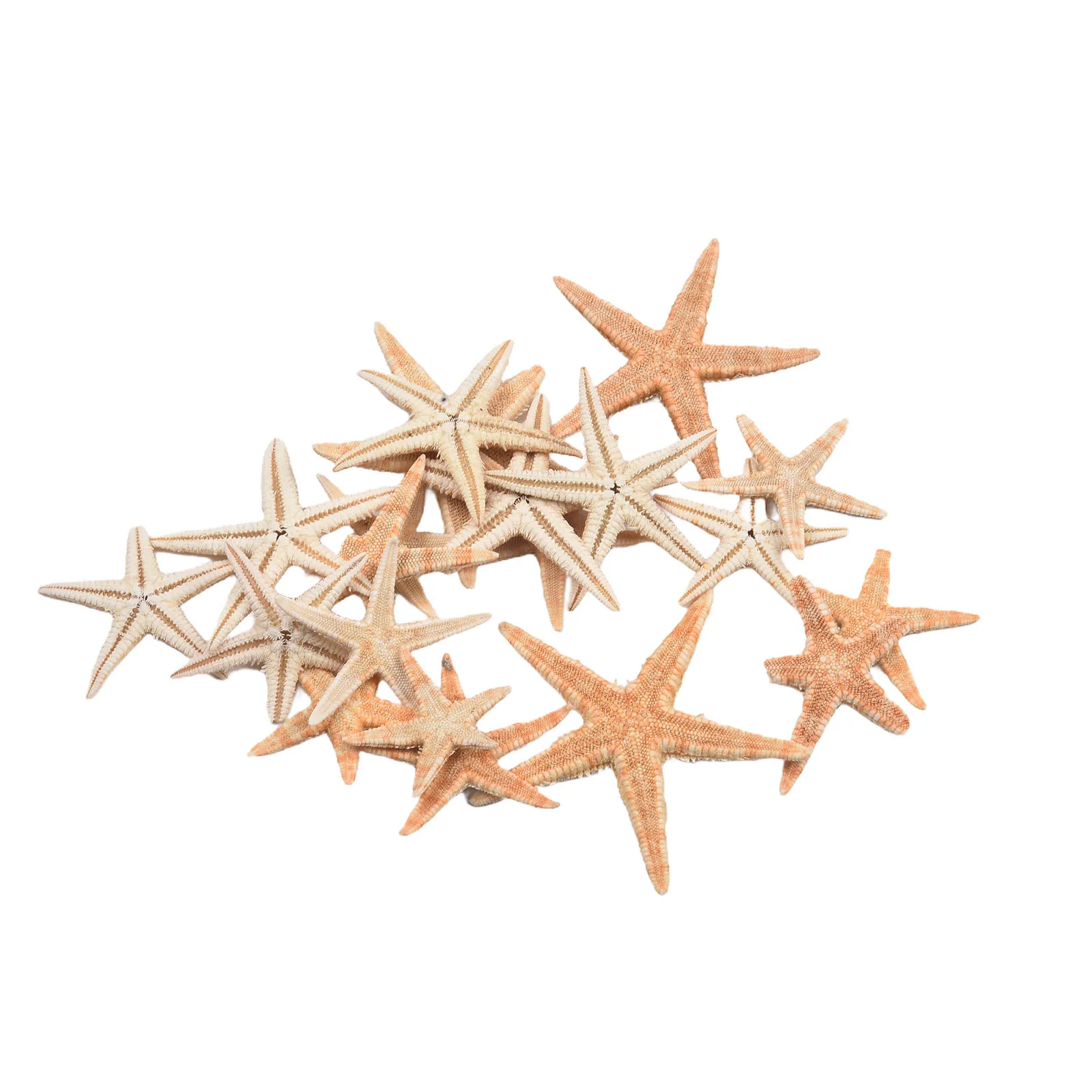 20/50/100pcs Natural Starfish Ornaments for Beach Craft Decor Wedding Party DIY Home Decor