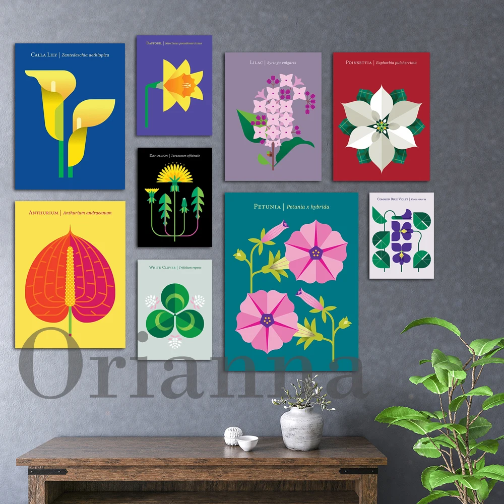 Tarassaco White Clover Lilla Narciso Blu Viola Anthurium Calla Lily White Poinsettia Fiore Di Petunia Wall Art Prints Poster