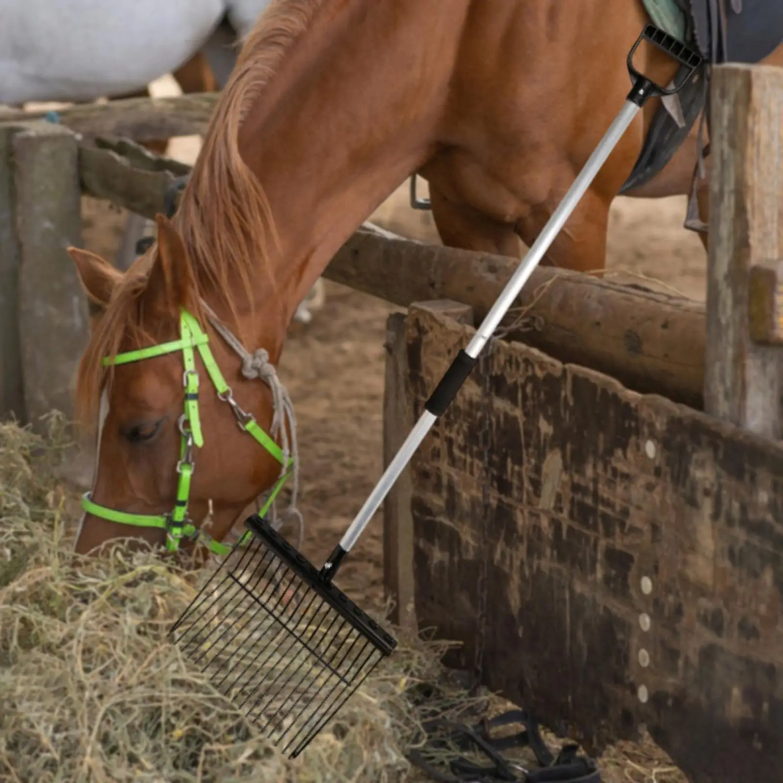 Iron Manure Fork Horse Stable Manure Rake Replacement Sturdy Fork Equipment Pitch for Farm Horse Stall Grass and Hay
