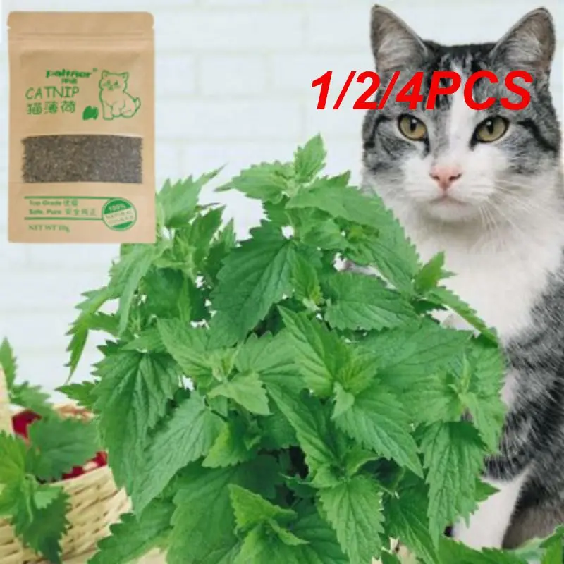 

1/2/4PCS Natural Premium Catnip Cattle Grass Interactive Cat Non-toxic 10g Menthol Flavor Funny Cat Supplies Keep Pet Health Cat