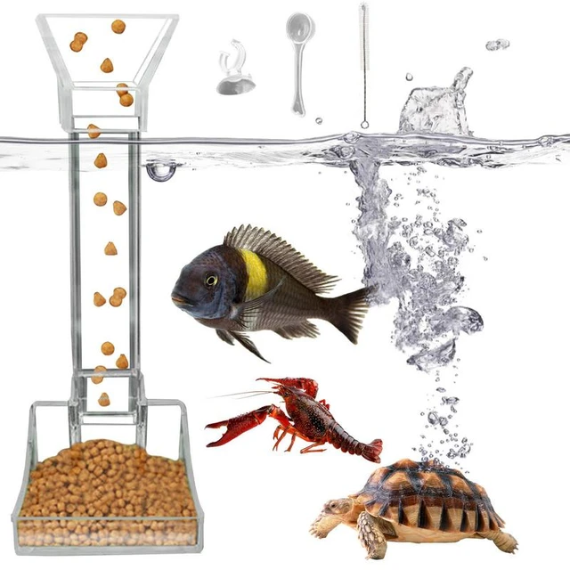 Distributeur automatique de poissons coniques, 10 pièces, pour Aquarium,  ver rouge, entonnoir, outil d'alimentation, ventouse, accessoires  d'aquarium - AliExpress