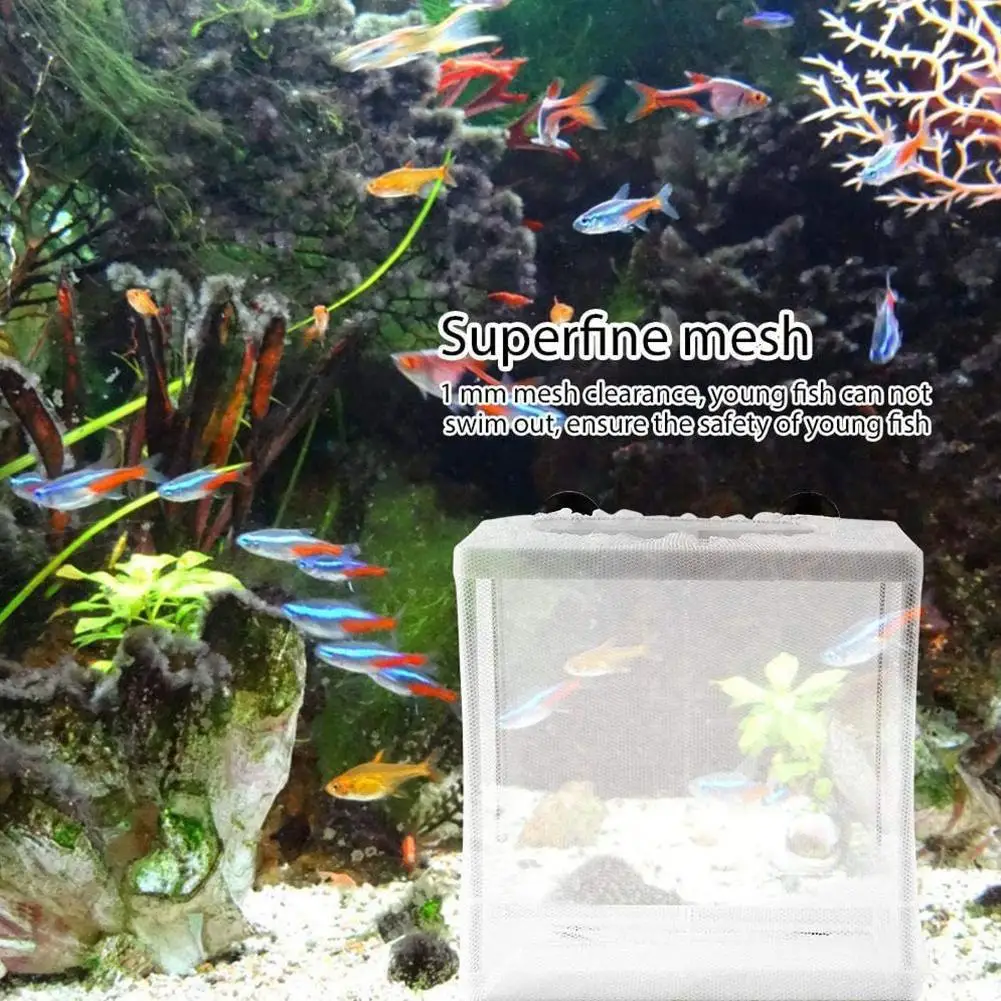Aquarium Fish Breeding Isolation Box