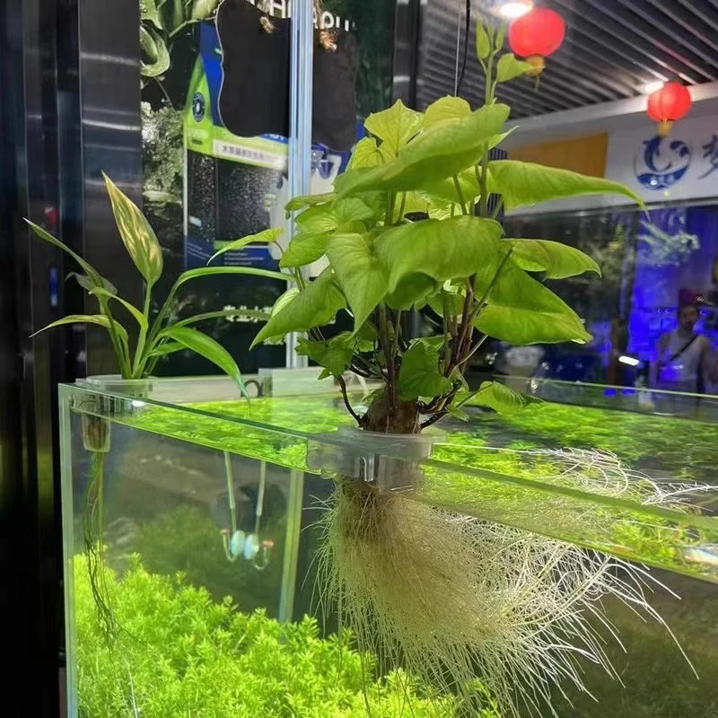 Aquarium Plant Holder Aquatic Plant Pot Hanging Aquatic Planter Fish Tank Holder Aquarium Pot Accessories