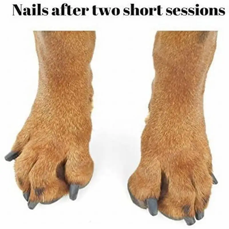 Cat Scratching Board Nail File Stress Free Alternative to Dog Nail Clippers And Dog Grinders Wooden Pull-out Sandpaper Deck