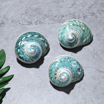 대형 바다 달팽이 소라, 자연 쉘 흰색 줄무늬 녹색 샐러드, 달팽이 표본, 달팽이 수집 선물, 홈 데코, 1 개, 8-10cm