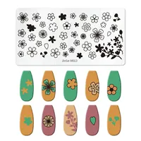 Cartoon Animal Floral Leaves Nail Stamping Plate Image Transfer Template Geometric Flower Stainless Steel Stencil Nail Art Tools 2