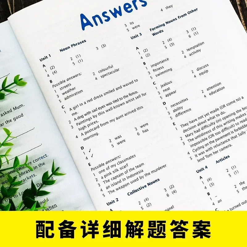 Singapore English Grammar Set 5