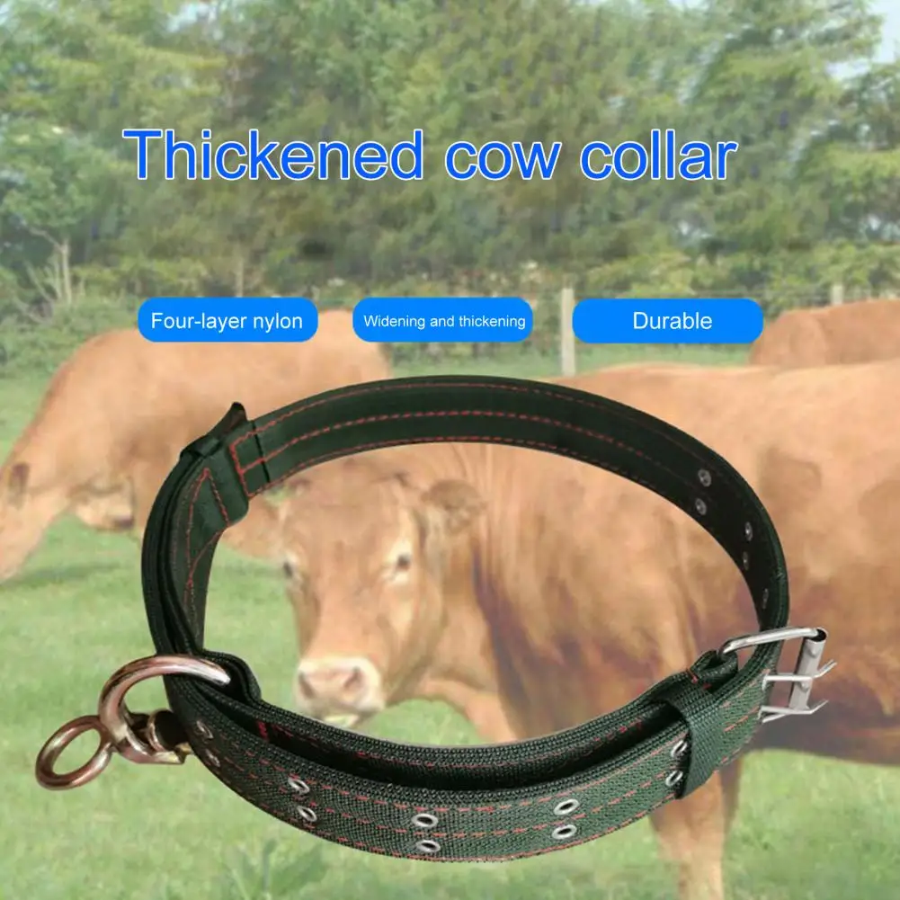 Durable Sheep Ropes Multi-use Livestock Collar Neck Accessories No Pilling Nylon Belt Livestock Collar for Farm Animal
