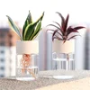 Mini Hydroponic Flower Pot Transparent Soilless Plant Vase for Home Decoration, Imitation Glass Green Plants Pot 1 Mini Hydroponic Flower Pot Transparent Soilless Plant Vase for Home Decoration, Imitation Glass Green Plants Pot 1
