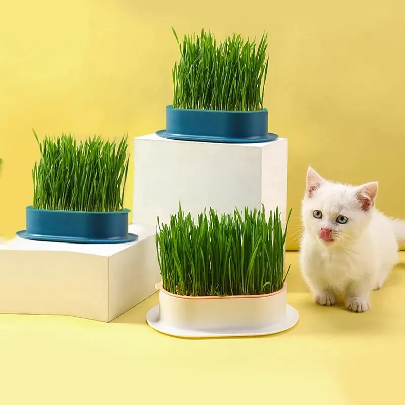 Cat grass growing pot New Pet Cat Sprout Dish Growing Pot Hydroponic Plant Cat Grass Germination Digestion Starter Dish Greenhouse Grow Box