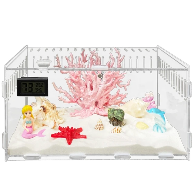 Reptiles Feeding Box Acrylic Terrariums Container for Spiders Lizards Small Pet Mini Habitat 2 Size 090C 4