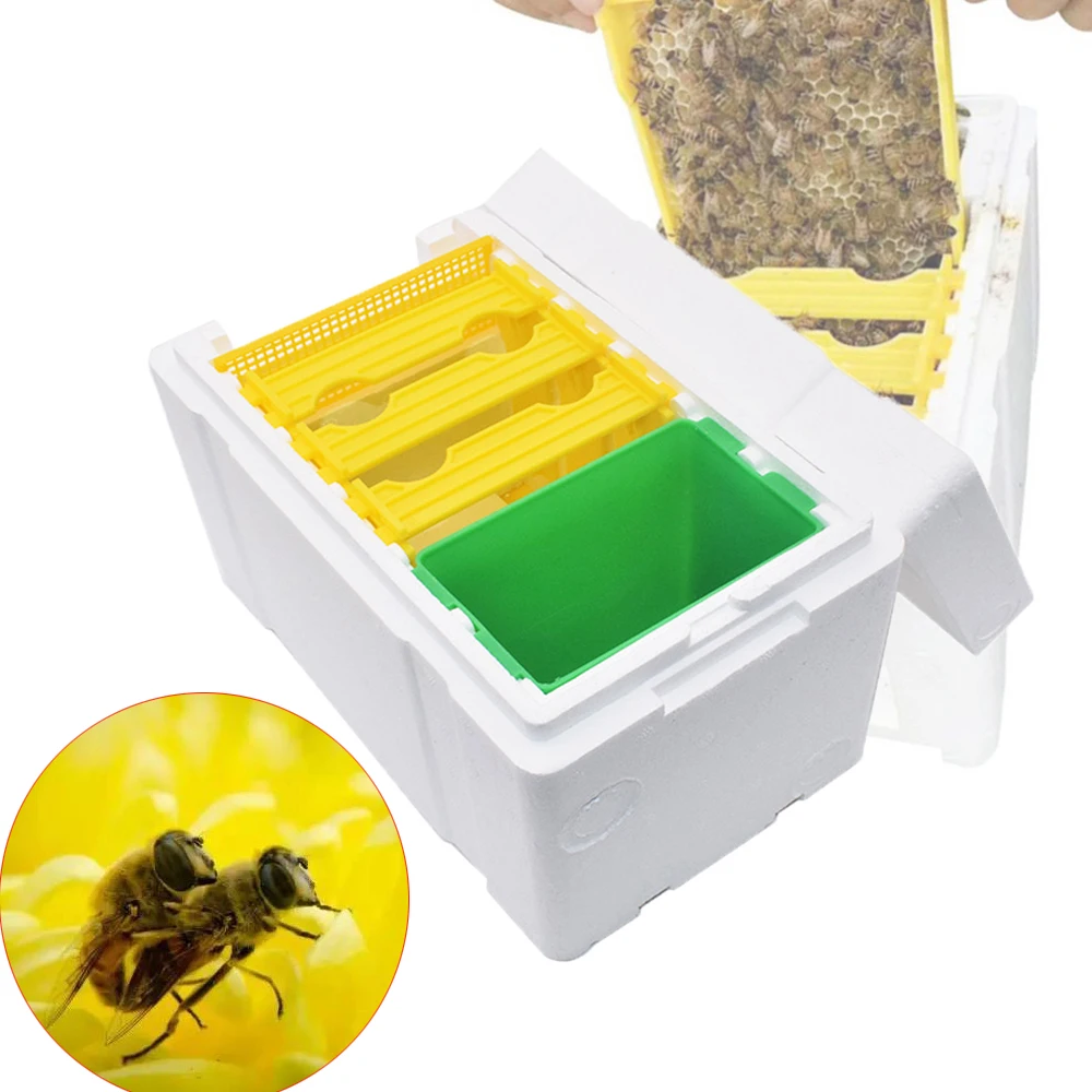 

Copulate коробка для прививки пчел Nucs, мини-приспособление для прививки улей, ядро, улей для разведения, портативные инструменты для сбора урожая