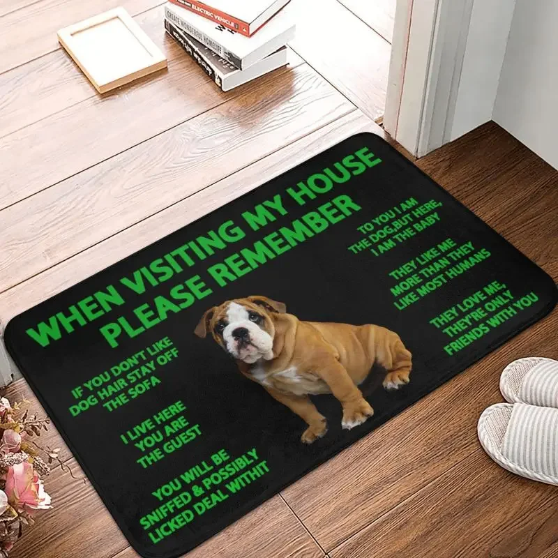 

English Bulldog Front Floor Door Entrance Mat Outdoor Bathroom Kitchen Doormat Garden Carpet Rug