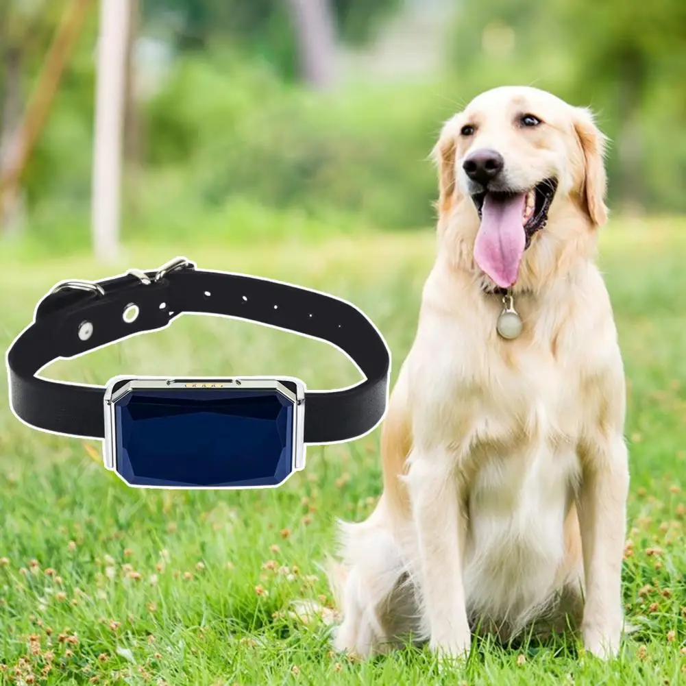1 Set Cat Tracker Location History Pet Tracker Pet Dog Cat Location Activity Collar