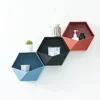 Nordic Style Wooden Decor Wall Mount Hexagonal Frame Books Toys Flower Pot Storage Shelf Holder Figurines Display Crafts Shelves 6