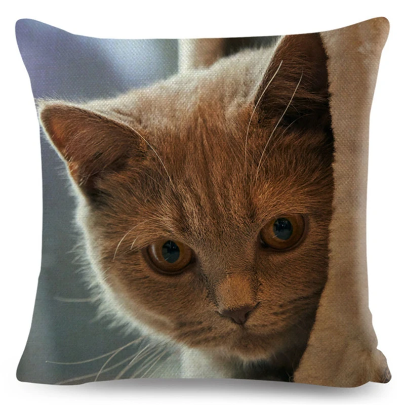 Cute Pet Animal Cushion Cover 3D Fold Ear Cat Pillow Covers 45*45cm Orange cat Blue Cat Linen Pillow Case Car Sofa Home Decor 