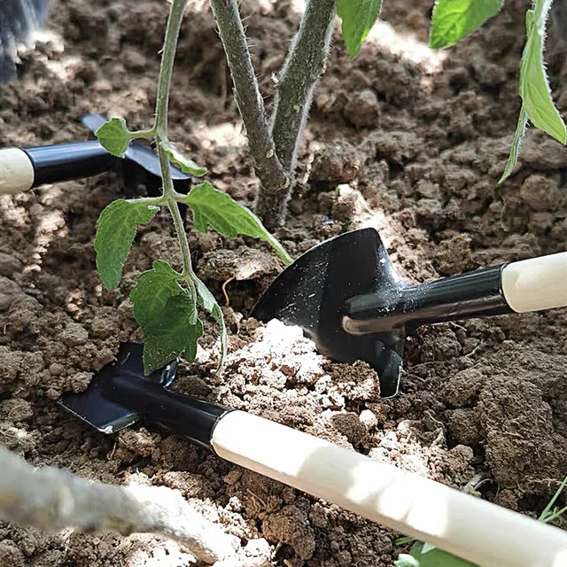 3/6 db Mini Kertészeti Lapátszerszámok Fa Fogantyú Ásó Rozsdamentes Acél Cserepes Növények Lapát Gereblye Virághoz Növény - Image 2