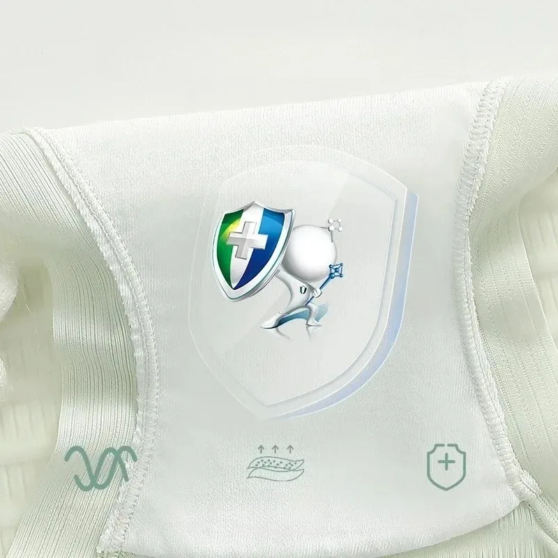 Ice Silk Panties for Women Sexy Transparent Briefs Seamless Breathable Middle Rise Underpants Comfort Soft Underwear Women