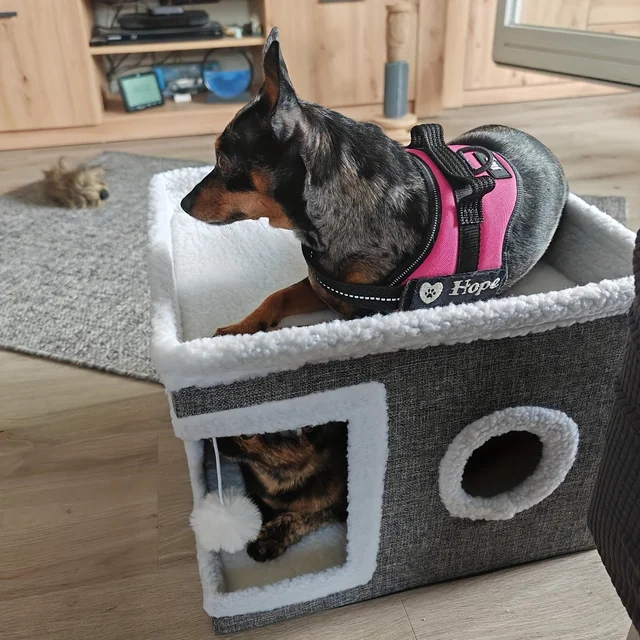 4-Season Multi-Level Cat House Heated Cat Bed for Indoor Cat Indoor Foldable Removable Cushion,Anti-Slip Base Winter Warmth Cave 3