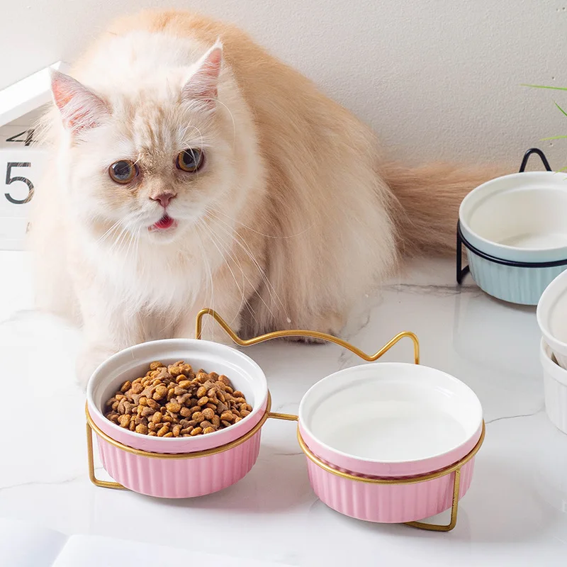 Керамическая миска для кошек с двойной чашей для защиты шейного позвоночника. Миска Для кошачьей еды, диагональная миска для еды