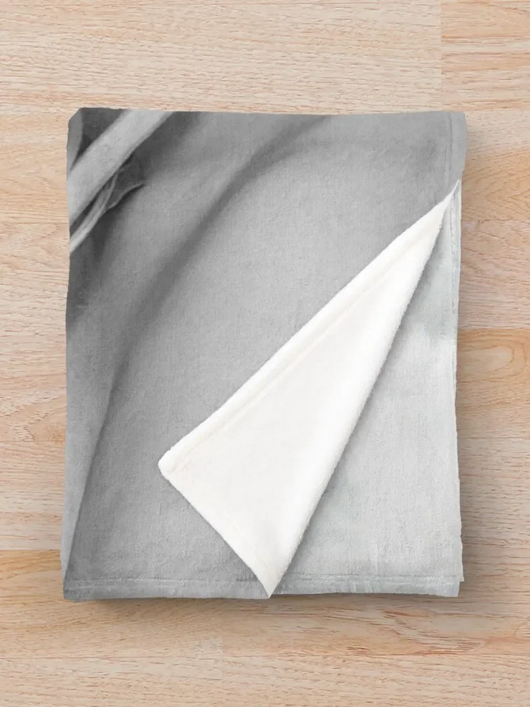  ���� ǫ���� ����, ���� ī����Ʈ �عٶ��, B & W ������ ���