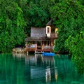 Natural Simple Home Store