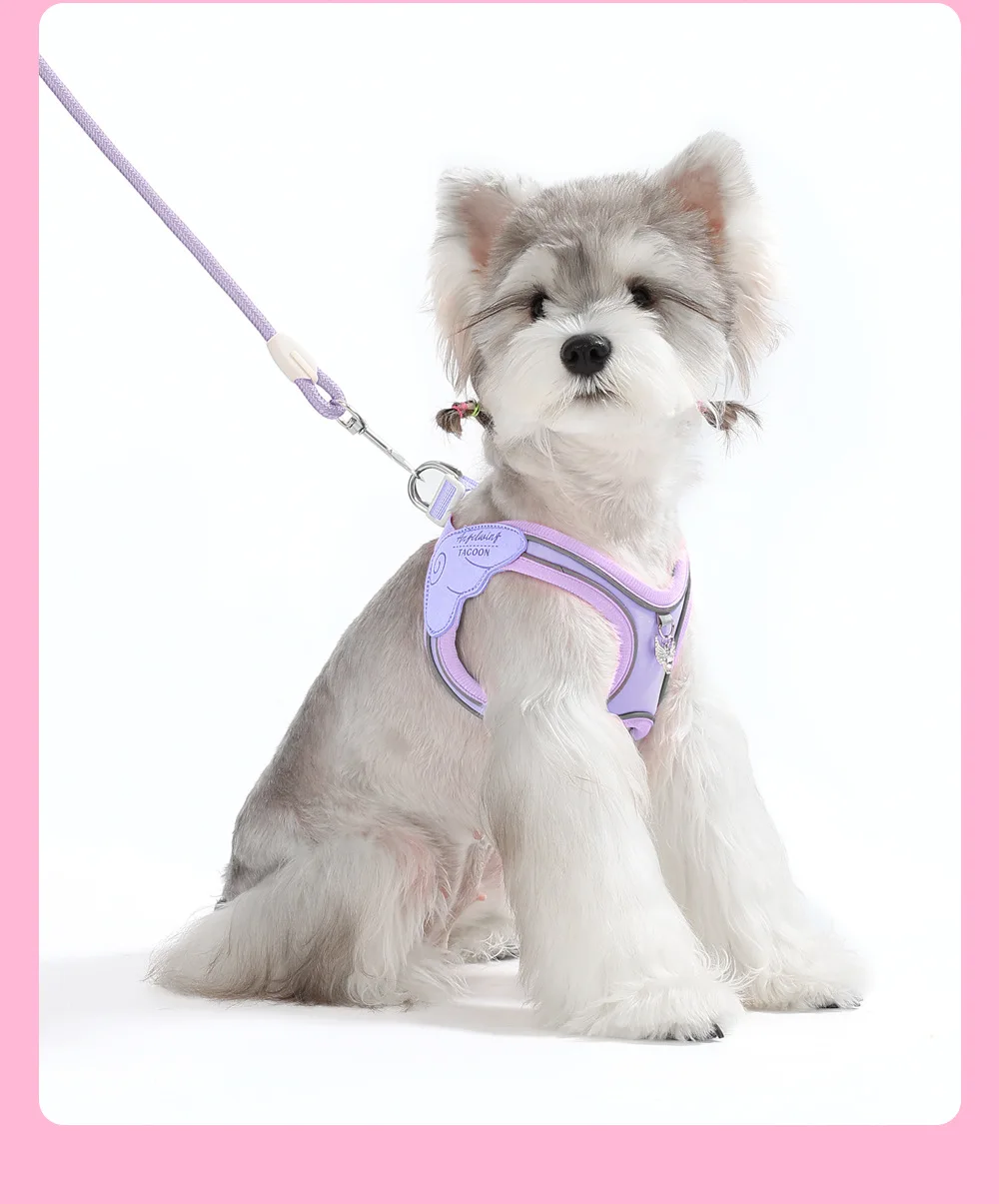 Peitoral para cães com asas de anjo macio e respirável pequenos_voghion.com