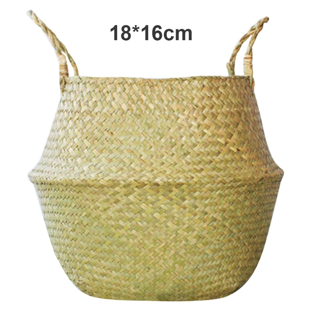 Image 20