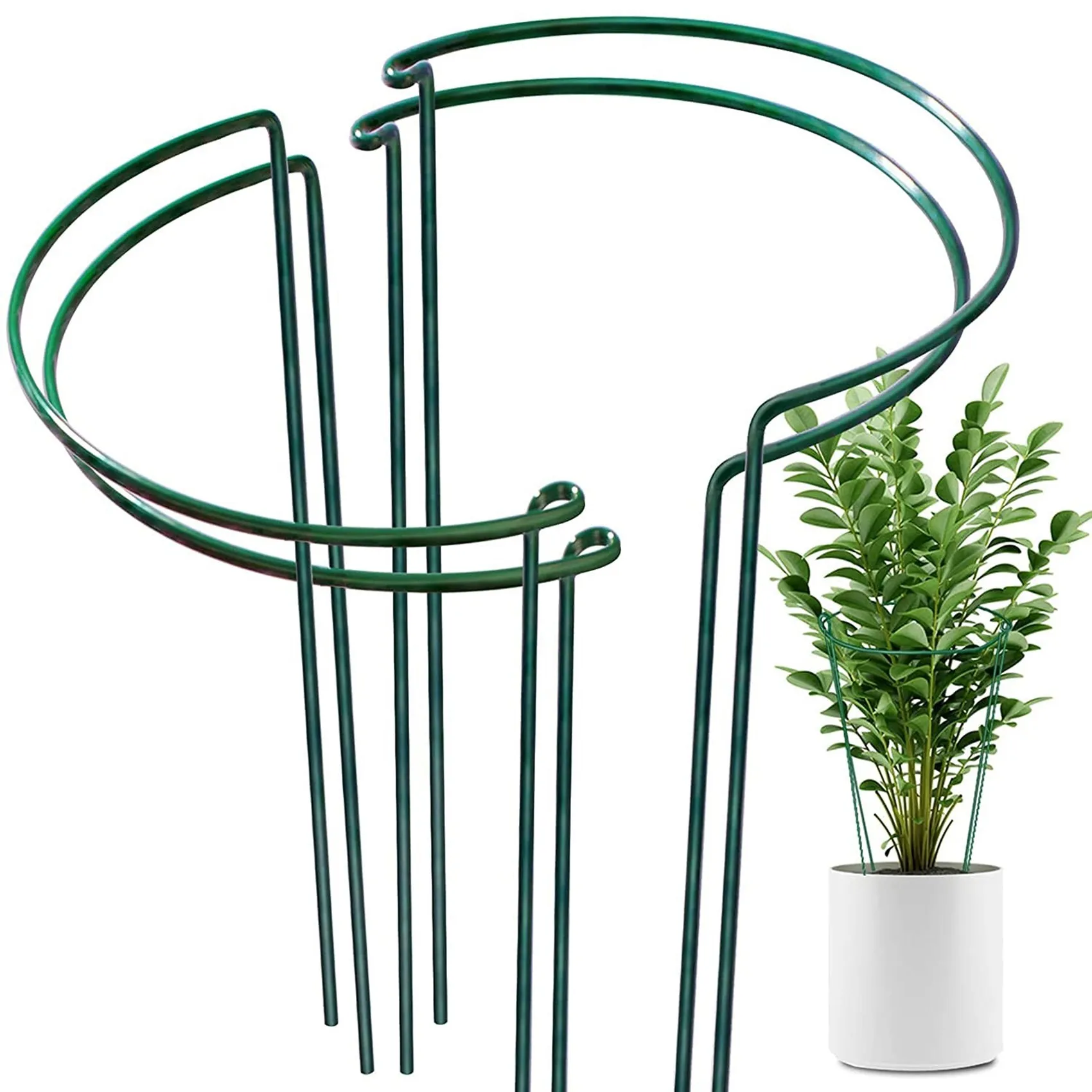 4-Pcs-Plant-Support-Stakes-Ring-Cage-Metal-Garden-Plant-Stake-Green-Half-Round-Plant-Support.jpg 4 Pcs Növényi Tartó Tét Gyűrű Ketrec Fémkerti Növény Zöld Fél Kerek - Image 2