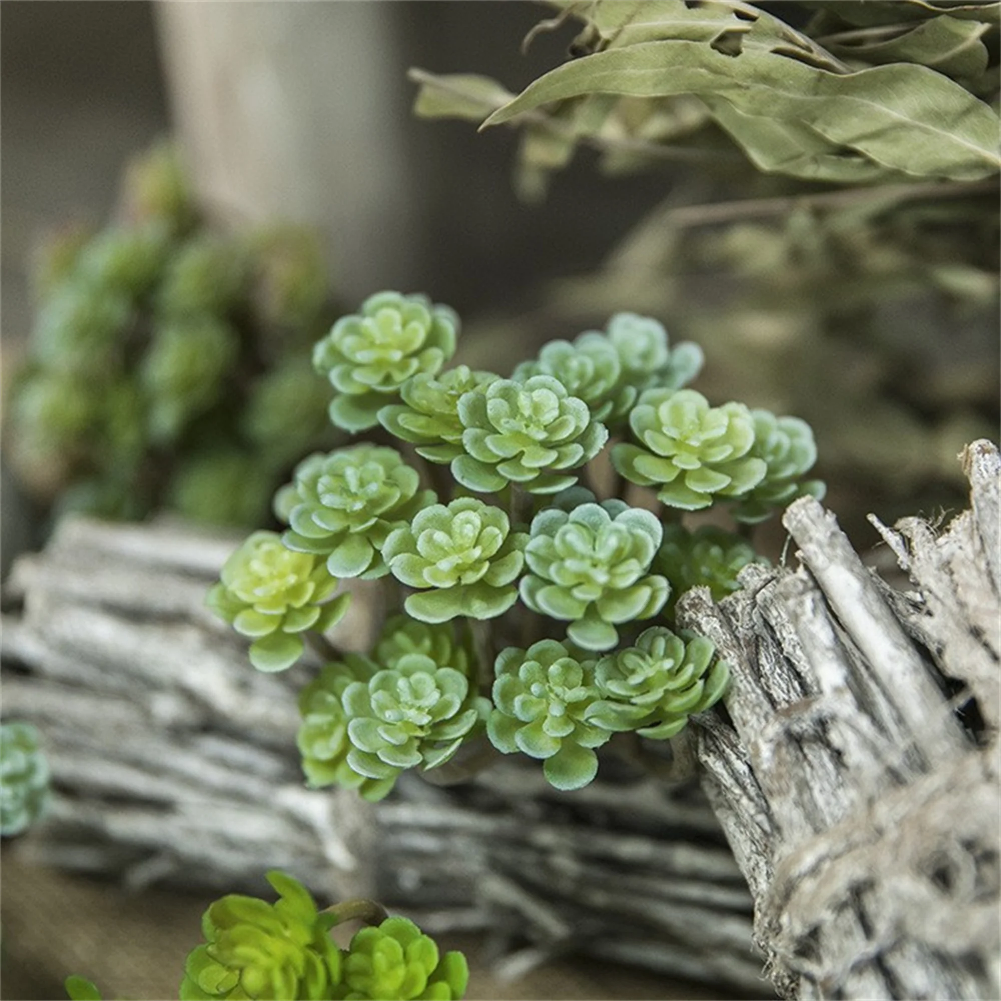 Artificial Encrinite Succulent Decor Plant - Realistic Colors, Natural Countryside Style