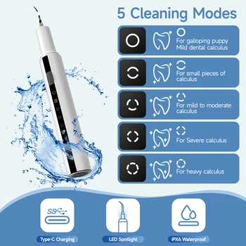CURVY MOON Ultrasonic Pet Dental Scaler