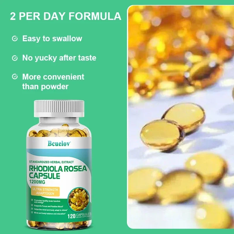 Rhodiola Rosea Root Extract 1200 mg Supports brain health Energy and endurance Mood support Stress